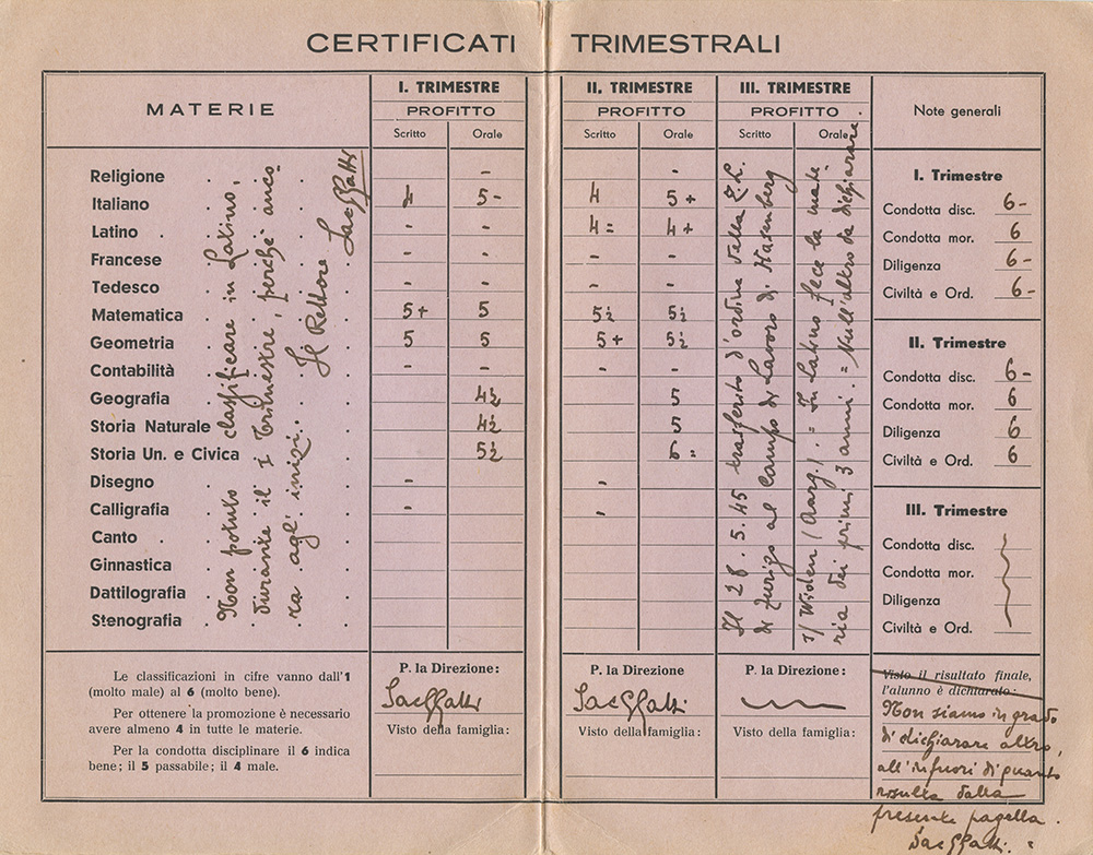 Al Finci report card