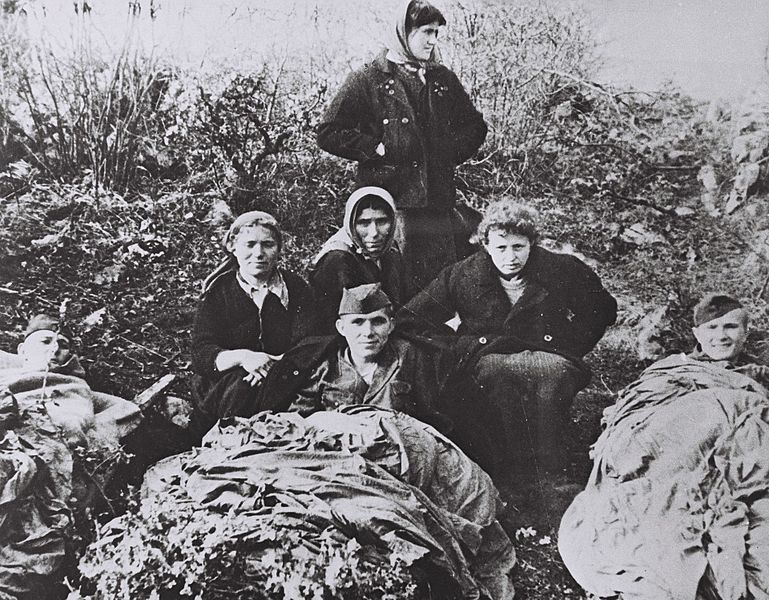 Yugoslav partisans